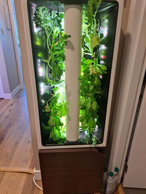 A hydroponics garden that has plants growing out of a few plugs with artificial lights