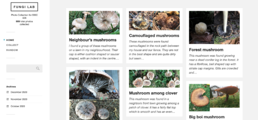 A screen shot of the The Fungi Lab Image Collector website for BISC 326